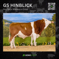 23_GS_HINBLICK-min