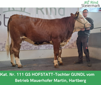 Kopie_von_Zuchtrinderversteigerung_teuerste_Tiere