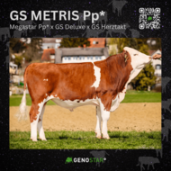 01_METRIS-min