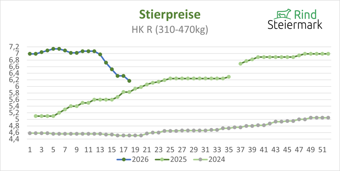 02_Stier