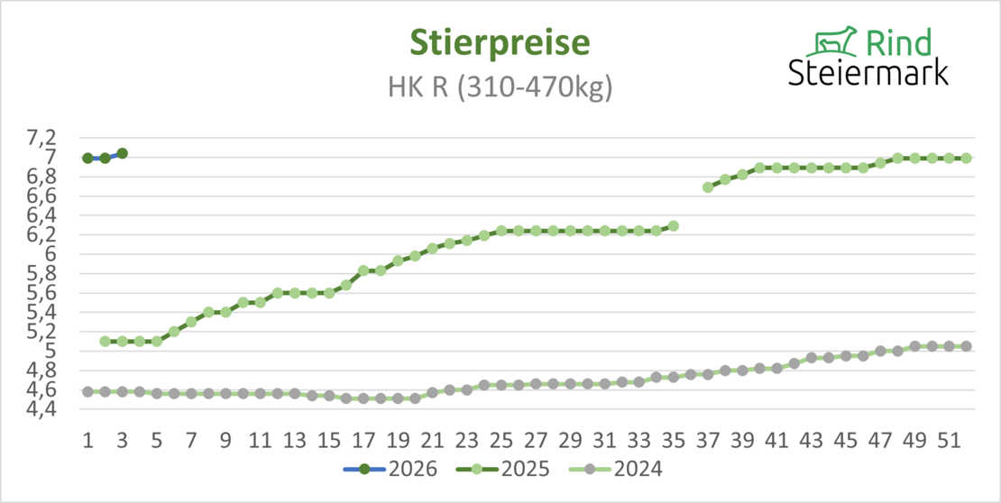02_Stier