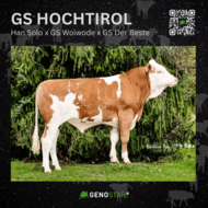 16_GS_HOCHTIROL-min