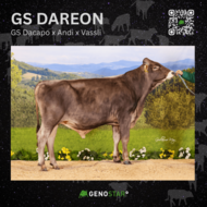 39_GS_DAREON-min