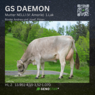 43_GS_DAEMON_Mutter_NELLI-min