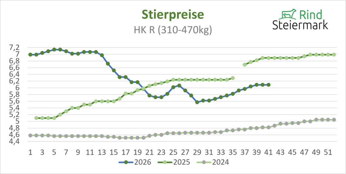 02_Stier