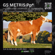 04_METRIS_Urgrossmutter-min