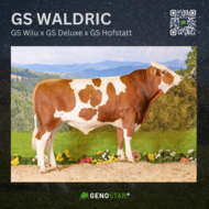 28_GS_WALDRIC-min