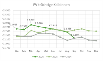 FV_TK