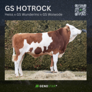 10_HOTROCK-min