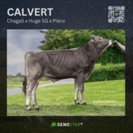 41_CALVERT-min