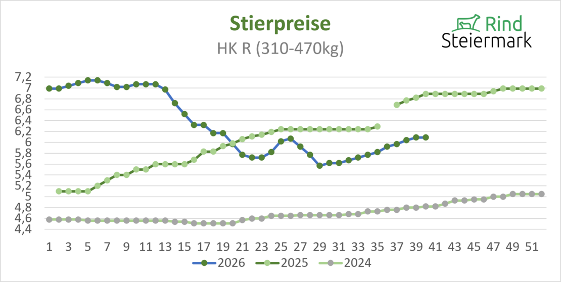 02_Stier
