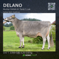 37_DELANO-min
