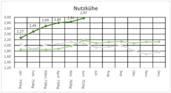 03_Kuh_202506