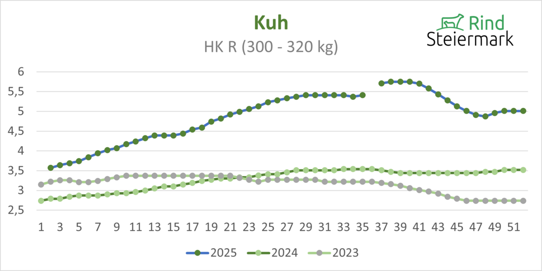 03_Kuh