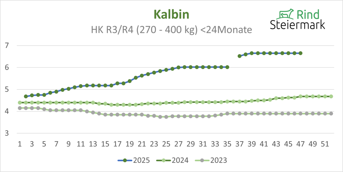 04_Kalbin