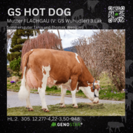 06_GS_HOT_DOG_Mutter_FLACHGAU-min