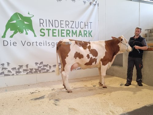 Hollywood_Tochter_Brunnhofer_Hubert_Gasen