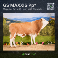 08_2GS_MAXXIS_Pp_AT_50_3029_989-min