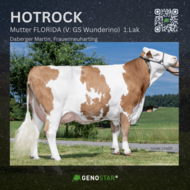 11_HOTROCK__2_-min