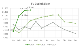 FV_Zuchtkalb