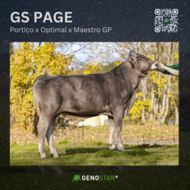 38_GS_PAGE-min