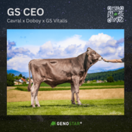 47_GS_CEO_AT_23_4408_101-min