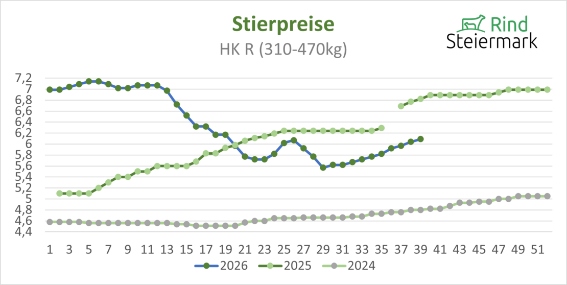 02_Stier