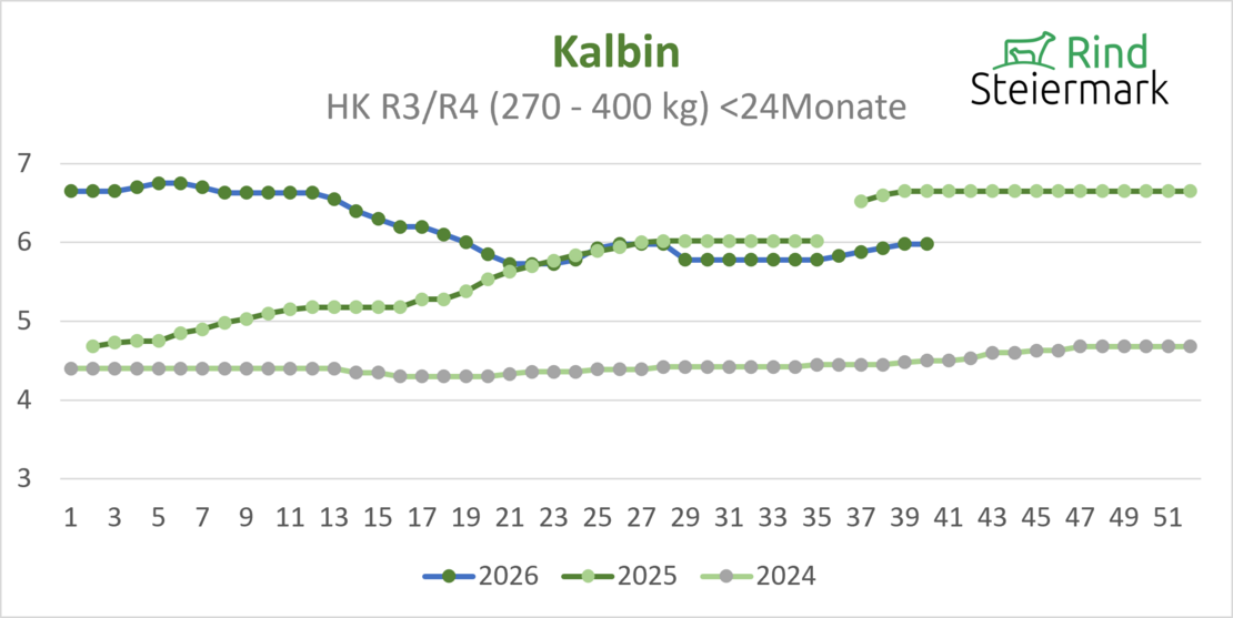 04_Kalbin