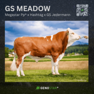07_GS_MEADOW_AT_45_5488_701-min