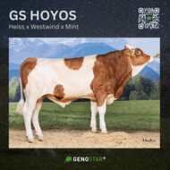 25_GS_HOYOS-min