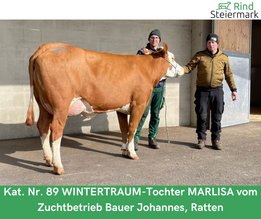 Kopie_von_Zuchtrinderversteigerung_teuerste_Tiere