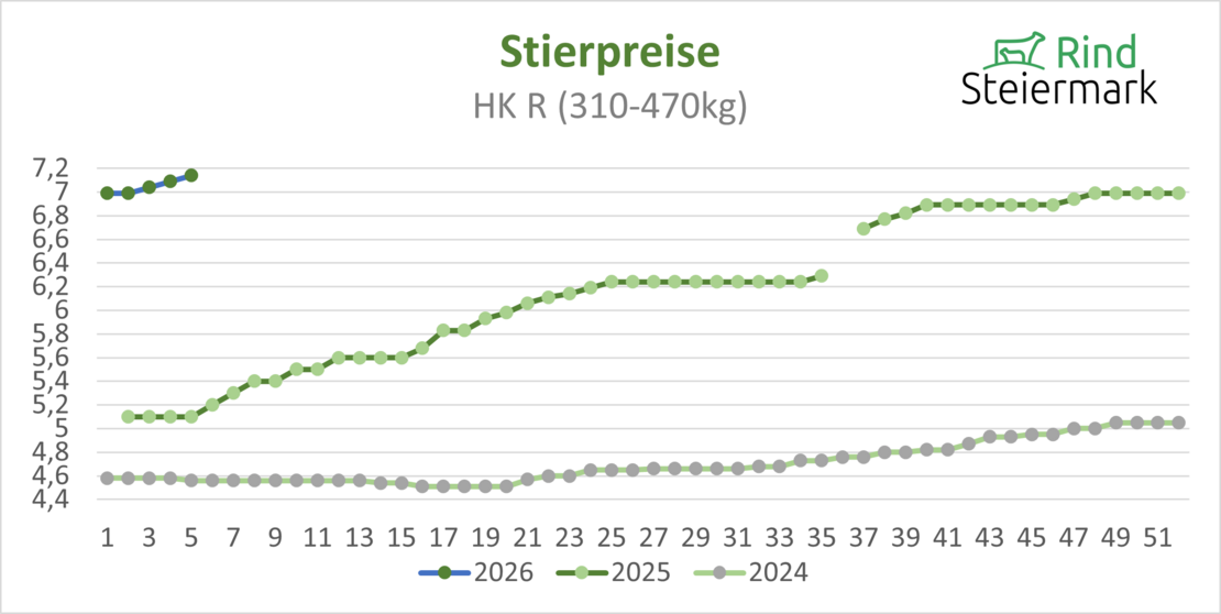 02_Stier