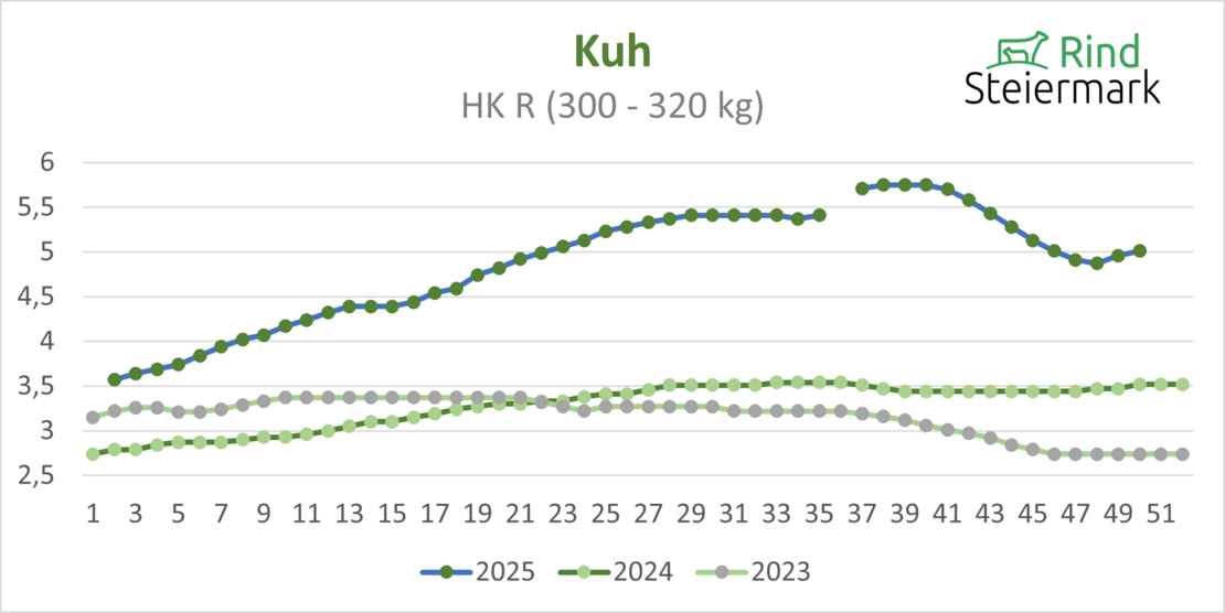 03_Kuh