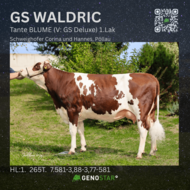 29_GS_Waldric_Tante-min