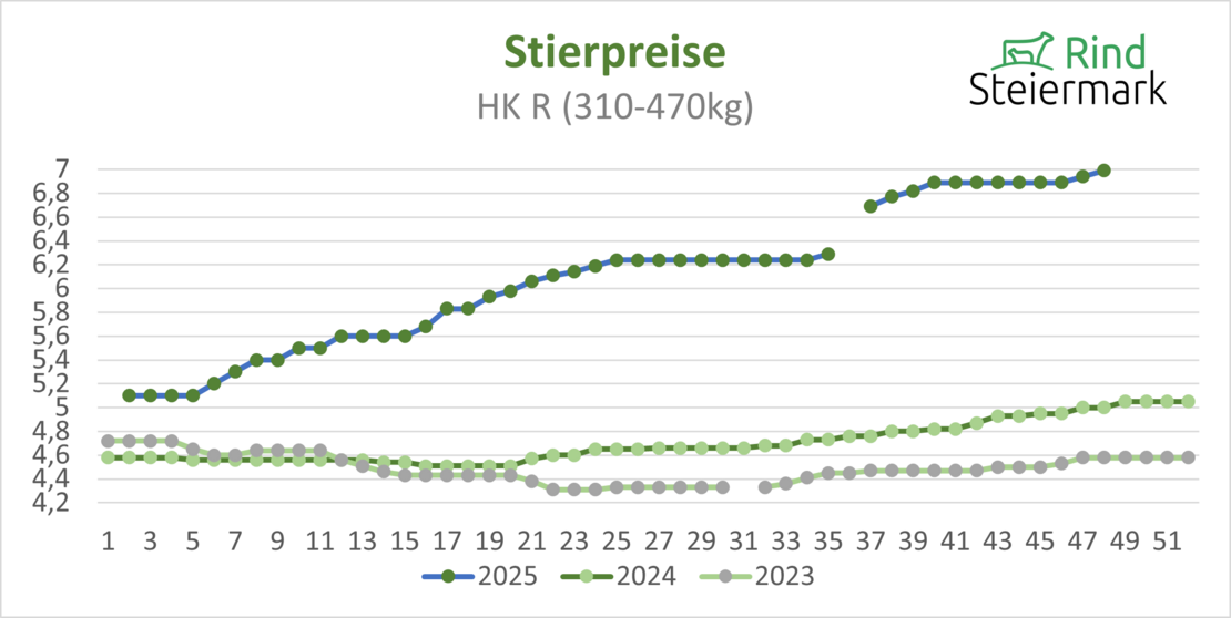 02_Stier