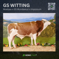 17_GS_WITTING-min
