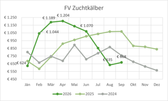 FV_ZK