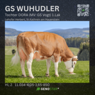 34_GS_WUHUDLER_DORA-min