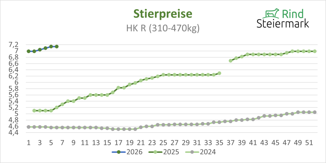 02_Stier