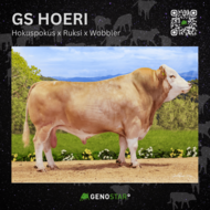 30_GS_HOERI-min