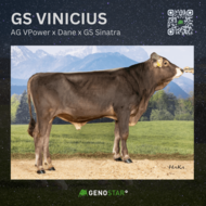 45_GS_VINICIUS-min