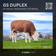 27_GS_DUPLEX__2_-min