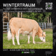 35_WINTERTRAUM_SANMARCO-min