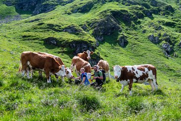 1_NZ6_0439