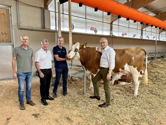 Versteigerung_Greinbach