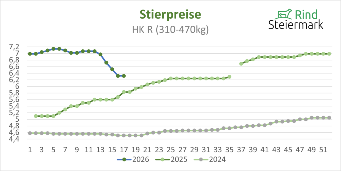 02_Stier