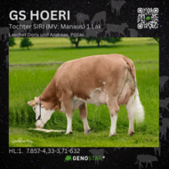 31_GS_HOERI_SIRI-min
