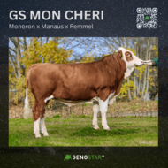 12_GS_MON_CHERI-min