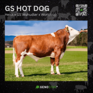 05_GS_HOT_DOG__2_-min