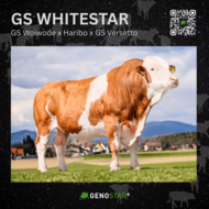 32_GS_WHITESTAR__2_-min